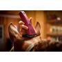Wahl Professional Animal Bravura Pet, Dog, Cat, and Horse Corded/Cordless Clipper Kit