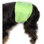 Dr. Judy Morgans Naturally Healthy Pets Washable Male Dog Diaper Belly Band wrap Solid Colors Dr. Judy Morgans Naturally Healthy Pets Washable Male Dog Diaper Belly Band wrap Solid Colors