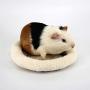 HongGun Hamster nest, Hamster Bed Mat Circular Shaped Warm Soft Comfortable Washable PP+Velvet for Mice, Guinea Pigs and Other Small Animals (L, Creamy-White)