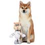Nickelodeon Spongebob Squarepants Patrick Figure Plush Dog Toy