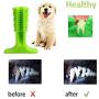 ADTBLL Dog Chew Toothbrush, Doggy Teeth Cleaning Dental Care Massager Nontoxic Natural Chew Toys