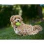 Petper Cw-0047EU Dog Ball Toy