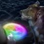 Nite Ize Flashflight LED Dog Discuit - Best Dog Flying Disc For All Hours of Play - With Long-Lasting LED Light, 1-Pack Multi-Colored Disc-O (FFDD-07-R8)