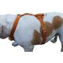 Genuine Leather Dog Harness, 29''-37'' Chest, 1'' Wide Straps, Doberman, Pitbull, Bullterrier