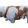 Genuine Leather Dog Harness, 29''-37'' Chest, 1'' Wide Straps, Doberman, Pitbull, Bullterrier