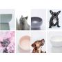 Raised Dog Cat Bowl – Handcrafted Ceramic Elevated Pet Bowls – Stable and Sturdy Design – Comfortable and Safe Eating – Prevents Fast Eating and Vomiting - Porcelain Tilted Food & Water Bowls