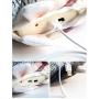 geluode Moving Fish Cat Toy, 11'' Plush Simulation Electric Doll Fish, Automatic Flopping USB Rechargeable Cat Fish Toy, Funny Interactive Pets Chew Bite Supplies for Cat/Kitty/Kitten Catnip Toys geluode Moving Fish Cat Toy, 11'' Plush Simulation Electric Doll Fish, Automatic Flopping USB Rechargeable Cat Fish Toy, Funny Interactive Pets Chew Bite Supplies for Cat/Kitty/Kitten Catnip Toys