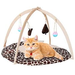 PetBonus Cat Play Mat, Cat Activity Center with Interactive Toys, Bell Ball, Mice Toy for Cats, Kitten, Kitty