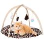PetBonus Cat Play Mat, Cat Activity Center with Interactive Toys, Bell Ball, Mice Toy for Cats, Kitten, Kitty