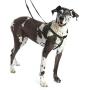 Freedom No-Pull Harness ONLY