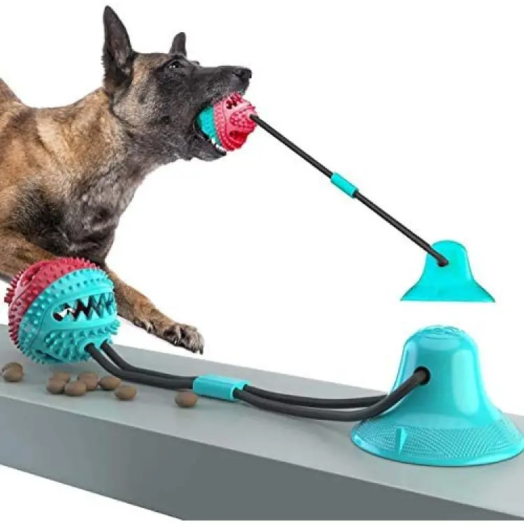 Dog Chew Toys, Dogs Training Treats Teething Rope Toys with Suction Cup for  Boredom, Indoor Interactive