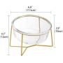 Glass Rasied Bowl for Cat Puppy Water Food Feeder wih Elevated Steel Stand, Tilt Angle, Stress Free Comfor Feeding Bowl (Glass Clear, Medium)
