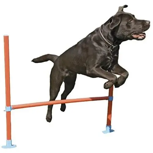 Agility Hurdle - Dog play & exercise toy Agility Hurdle - Dog play & exercise toy