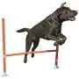 Agility Hurdle - Dog play & exercise toy Agility Hurdle - Dog play & exercise toy