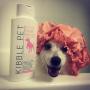 Kibble Pet Salon Quality Dog Conditioner Hypoallergenic | Made with Natural and Organic Ingredients | 6 Month Supply | Made in The USA | 13.5oz