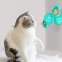 Windmill Cat Toys Kitten Fidget LED Catnip Ball