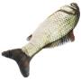 Pepoot Grass Carps Cat Toy Fish Plush Catnip Toys Fishes Shape Doll Interactive Pets Pillow Chew Bite Supplies for Cat Dogs (11.82'')