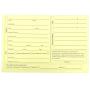 Pet, Dog, Cat Grooming Customer Client Clip Cards (100 Pack Thick 4 X 6 inch Profile Kennel Record Care Service Card) … (Canary)