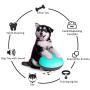 Lcybem Interactive Dog Toys - 3 in 1, Squeaky Food Dispensing Toy, IQ Treat Ball, Dog Squeaky Toy, Sound Puzzle Slow Food, Playing, Chasing, Chewing Indoor or Outdoor