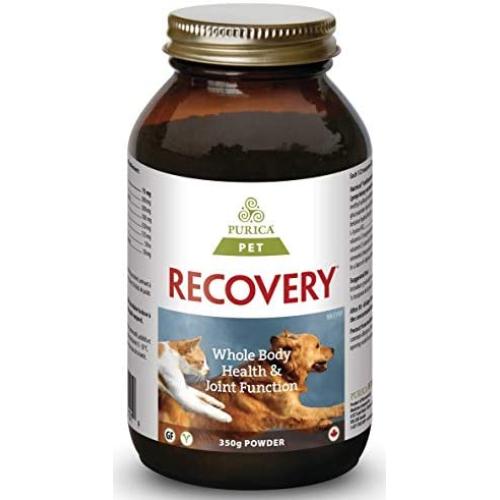 Recovery SA Powder 350 g