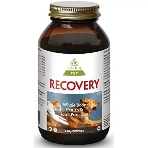 Recovery SA Powder 350 g Recovery SA Powder 350 g