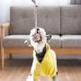 Rope Toy for Dogs, Strong Durable Rope Chew Toys, Extra Durable - Nearly Indestructible - Washable