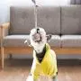 Rope Toy for Dogs, Strong Durable Rope Chew Toys, Extra Durable - Nearly Indestructible - Washable Rope Toy for Dogs, Strong Durable Rope Chew Toys, Extra Durable - Nearly Indestructible - Washable