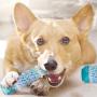 Pet Teeth Cleaning Chew Toys-Fetch Training Toys with Natural Rubber for Small Medium Large Doggy , Remove Tartar & Plaque.