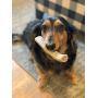 Perfect Pet Chews - Economy Deer Antler Dog Chew (Medium - Dog Weight 20-40 Lbs 3 - Pack) and Elk Antler Burr Bundle