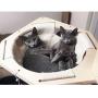 SAsagi Solid Wood Large Cat Tree,Multi-Level Scratching Board Cat Furniture Tower House Cat Nest Toy Can Multi-Places for Play Sleep Grinding Claws