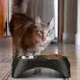 Flexzion Pet Feeder Bowls Double Stainless Steel Removable Tray Dog Cat Animal Food Water Container Dish Table Dinner Set with Elevated Stand Flexzion Pet Feeder Bowls Double Stainless Steel Removable Tray Dog Cat Animal Food Water Container Dish Table Dinner Set with Elevated Stand