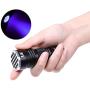 LE Small UV Flashlight, Portable Black Light with 21 LEDs, 395nm, Ultraviolet Light Detector for Invisible Ink Pens, Pet Dog Cat Urine Stain and more, AAA Batteries Included