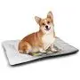 Nomorer Cat Food Mat Leaves Machine Washable Pet Bed Liner Exotic Summer Season Nature Pattern Botanical Foliage Leaves Abstract Illustration Multicolor Nomorer Cat Food Mat Leaves Machine Washable Pet Bed Liner Exotic Summer Season Nature Pattern Botanical Foliage Leaves Abstract Illustration Multicolor