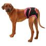 B0838XQ2SK Redcolourful Female Breathable Physiological Pants for Small Meidium Pets Dogs Purple M