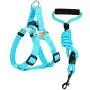 Hamour Dog Leash Set Adjustable Vest Harness with Padded Handle for Small Medium Large Dog Walking Running Training Hamour Dog Leash Set Adjustable Vest Harness with Padded Handle for Small Medium Large Dog Walking Running Training