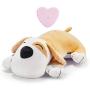 Moropaky Plush Dog Toy Heartbeat Puppy Toy to Separate Anxiety Relief for Puppy Calming Create Training Sleep Aid Behavioral Aid Dog Toys [ for Dogs Cats Pets ]