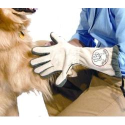 Spotless Paw Dog Paw Cleaning, Grooming Glove, Dog Paw Cleaner for Muddy Paws -This Dog Paw Washer Saves Floors, Carpet, Furniture, Vehicles from Paw Prints