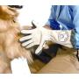 Spotless Paw Dog Paw Cleaning, Grooming Glove, Dog Paw Cleaner for Muddy Paws -This Dog Paw Washer Saves Floors, Carpet, Furniture, Vehicles from Paw Prints