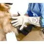 Spotless Paw Dog Paw Cleaning, Grooming Glove, Dog Paw Cleaner for Muddy Paws -This Dog Paw Washer Saves Floors, Carpet, Furniture, Vehicles from Paw Prints Spotless Paw Dog Paw Cleaning, Grooming Glove, Dog Paw Cleaner for Muddy Paws -This Dog Paw Washer Saves Floors, Carpet, Furniture, Vehicles from Paw Prints