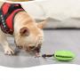 Thang Long Multifunctional Dog bite Toy pet Toothbrush Leaking Ball Training Ball Inside and Outside Double Cleaning Dog Safety Silicone (2 Pieces) Small Dog