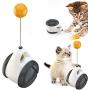 GiWuh Interactive Cat Toys for Indoor, Balance Car Design, Wheel Training Toys with Tumbler Balanced, Pet Toys, Kitten Sports Educational Toys