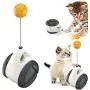 GiWuh Interactive Cat Toys for Indoor, Balance Car Design, Wheel Training Toys with Tumbler Balanced, Pet Toys, Kitten Sports Educational Toys GiWuh Interactive Cat Toys for Indoor, Balance Car Design, Wheel Training Toys with Tumbler Balanced, Pet Toys, Kitten Sports Educational Toys