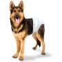 Four Paws Wee-Wee Disposable Dog Diapers 36 Count Large/X-Large