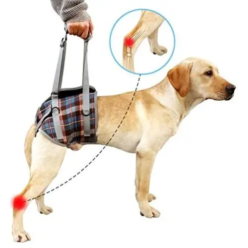 HEYWEAN Dog Lift Harness with Handle Support Injured Back Legs Adjustable Pet Recovery Assistive Strap