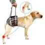 HEYWEAN Dog Lift Harness with Handle Support Injured Back Legs Adjustable Pet Recovery Assistive Strap