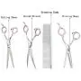 GEMEK Pet Cat Dog Grooming Scissors Set 4 Pieces Stainless Steel Professional Pet Trimmer Kit - 7.5 inch Straight Cutting Scissors, Thinning Shears, Curved Scissors, Grooming Combs