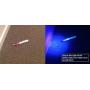 UV Stain Detective LED Blacklight for detecting cat, dog & rodent urine