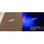 UV Stain Detective LED Blacklight for detecting cat, dog & rodent urine UV Stain Detective LED Blacklight for detecting cat, dog & rodent urine