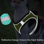 PAWDAY Dog Harness Step-in Air Pet Harness All Weather Soft Touch Mesh Vest Harness No Pull & No Choke and Escapeproof Dog Vest for Puppies, Small Medium Dogs and Large Cats