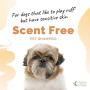 Hygea Natural Pet Shampoo for Dogs with Sensitive Skin with Organic Ingredients 16oz